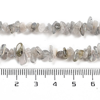 Natural Labradorite Beads Strands G-G0003-B43-1