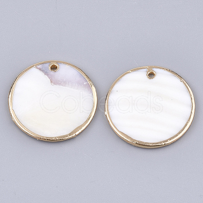 Electroplate Freshwater Shell Pendants SHEL-T012-06-1