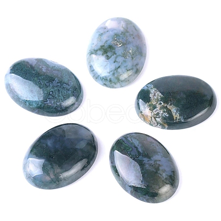 Natural Indian Agate Cabochons PW-WG8E62B-01-1