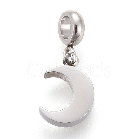 304 Stainless Steel Charms STAS-F259-014P-1