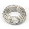 Raw Round Aluminum Wire, Bendable Metal Craft Wire, for DIY Jewelry Craft Making, 3 Gauge, 6.0mm, 7m/500g(22.9 Feet/500g)