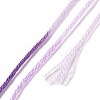 8 Skeins 8 Colors 6-Ply Polyester Embroidery Floss OCOR-M009-01A-01-3