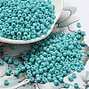 TOHO Round Seed Beads SEED-TR08-0055-4