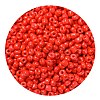 8/0 Baking Paint Glass Seed Beads SEED-US0001-04-3mm-6