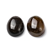 Natural Agate Cabochons G-A029-06-02-3