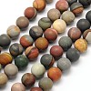 Frosted Round Natural Polychrome Agate Beads Strands G-N0166-67-4mm-1