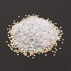 Plastic Sequins Beads PVC-R024-03A-2