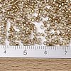 MIYUKI Delica Beads SEED-JP0008-DB2396-4