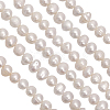 CHGCRAFT 1 Strand Natural Cultured Freshwater Pearl Beads Strands PEAR-CA0001-15B-3