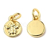 Brass Charms ZIRC-E164-57G-2