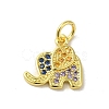 Real 18K Gold Plated Brass Pave Cubic Zirconia Pendants KK-M283-02E-02-1