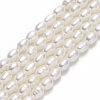Natural Cultured Freshwater Pearl Beads Strands PEAR-J006-12A-1