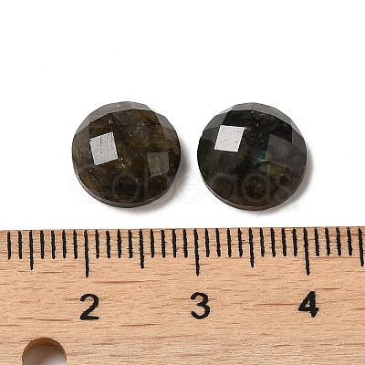 Natural Labradorite Cabochons G-L514-010-1