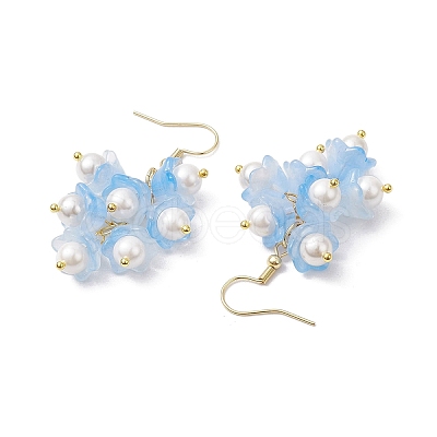 Flower Transparent Spray Painted Glass Cluster Earrings EJEW-JE05741-1