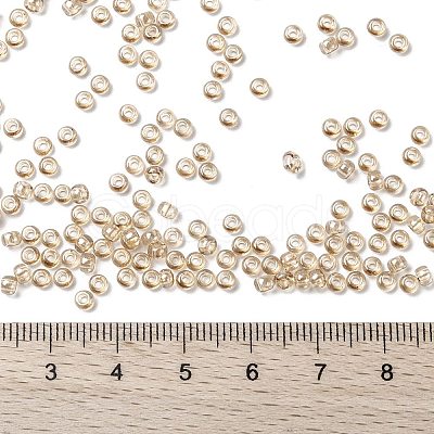 MIYUKI Round Rocailles Beads X-SEED-G008-RR2439-1