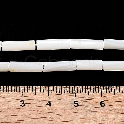 Freshwater Shell Beads Strands X-BSHE-L037-13-1