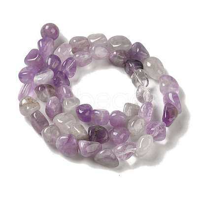 Natural Amethyst Beads Strands G-B078-D12-01-1