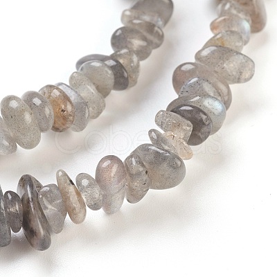 Natural Labradorite Beads Strands G-F575-10-1