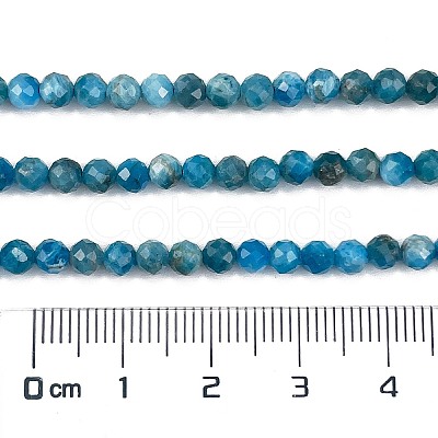 Natural Apatite Beads Strands G-C127-A01-01-1