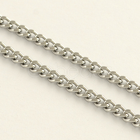 304 Stainless Steel Curb Chains CHS-R008-06-1