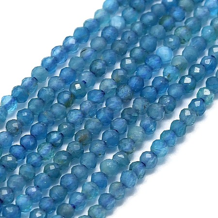 Natural Apatite Beads Strands G-G106-C06-04-1