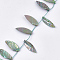 Freshwater Shell Beads Strands, Top Drilled Beads, Dyed, AB Color, Leaf, Medium Aquamarine, 39~55x11~25x4~9mm, Hole: 1mm, about 14~16pcs/strand, 15.3 inch