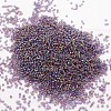 8/0 Round Glass Seed Beads X-SEED-J011-F8-173-2