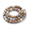 Natural Crazy Lace Agate Beads Strands G-S259-38-6mm-2