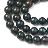 Natural Indian Bloodstone Beads Strands G-G954-02-8mm-2