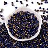 Glass Seed Beads SEED-A032-06G-2