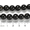 Natural Black Agate Beads Strands G-G391-10mm-01-2