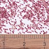 MIYUKI Delica Beads SEED-X0054-DB0282-4