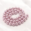 Round Shell Pearl Bead Strands BSHE-L011-8mm-A001-3