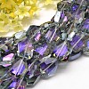 Half Rainbow Plated Faceted Polygon Glass Bead Strands EGLA-J087-07-1