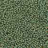 TOHO Round Seed Beads X-SEED-TR11-0380-2