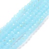 Electroplate Glass Beads Strands EGLA-A034-J4mm-L06-1