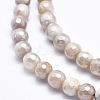 Electroplate Natural Sunstone Beads Strands G-K256-17-6mm-3