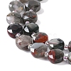 Natural African Bloodstone Beads Strands G-N342-12-4