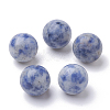 Natural Blue Spot Jasper Beads G-S289-15-10mm-1