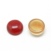 Natural Agate Cabochons X-G-R416-10mm-12-2