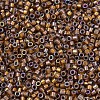 MIYUKI Delica Beads X-SEED-J020-DB1691-3