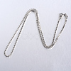 304 Stainless Steel Box Chain Necklaces STAS-O053-27P-2