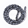 Natural Snowflake Obsidian Beads Strands G-S364-012-2