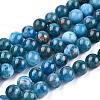 Natural Apatite Beads Strands G-O186-E02-6mm-4