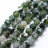 Natural Moss Agate Beads Strands G-F523-37-8mm-1