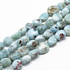 Natural Larimar Beads Strands G-R445-8x10-15-1