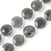 Natural Labradorite Beads Strands G-C116-A46-01-2