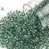 TOHO Round Seed Beads SEED-JPTR08-1070-1