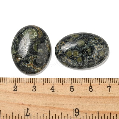 Natural Kambaba Jasper Cabochons G-C115-01B-22-1