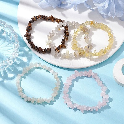 12 Constellation Natural Mixed Gemstone Chip Beaded Stretch Bracelets Sets for Women Men BJEW-JB10264-07-1